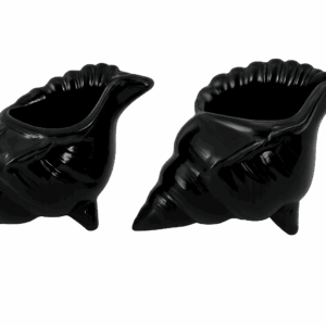 Glossy Black Ceramic Conch Shell Vessels – Set of 2